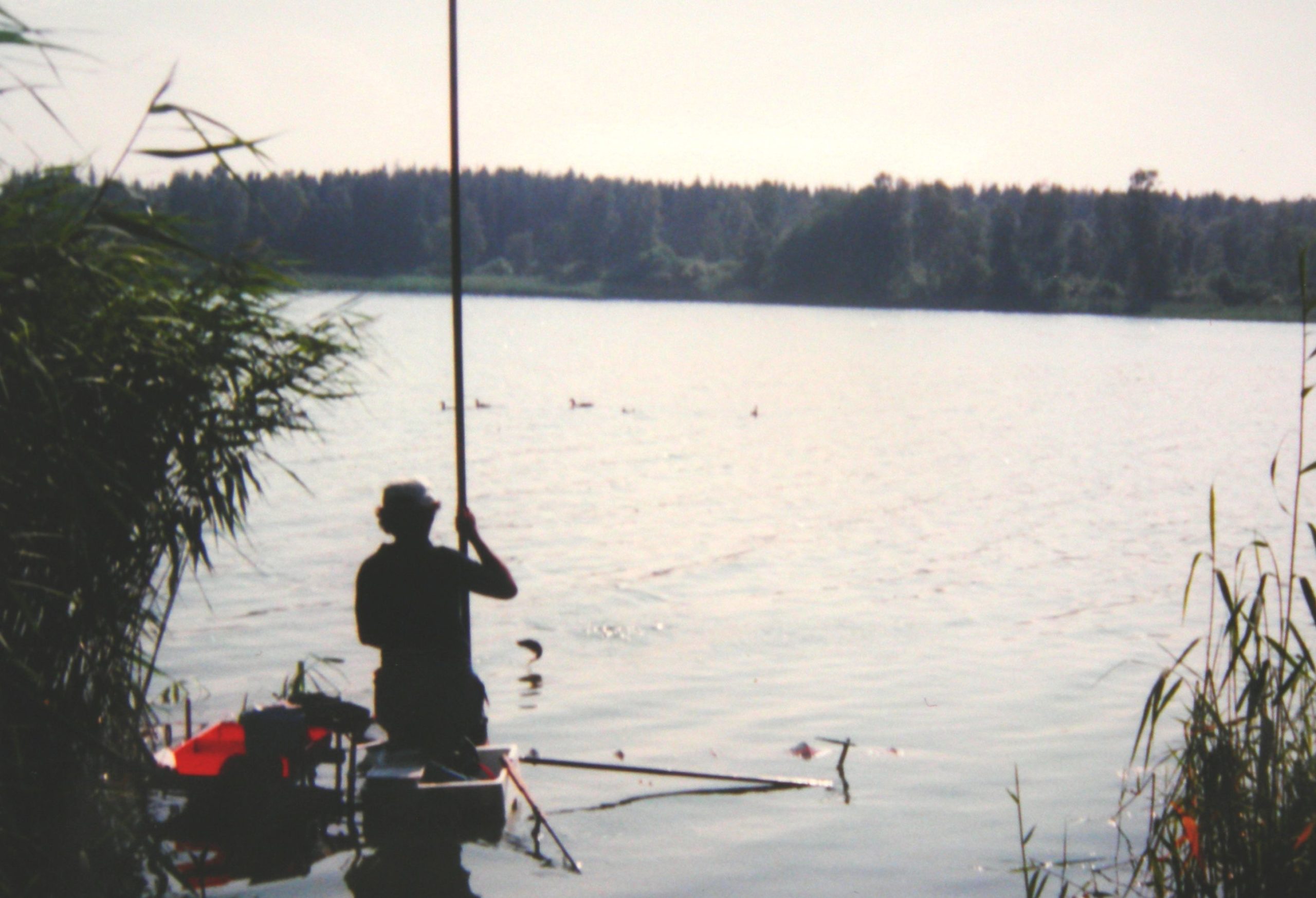 Il mio record di catture in una gara di pesca al colpo, lago di Skandeborg in Danimarca, 53kg di gardon con canna fissa di 9m e galleggiante da 6gr.