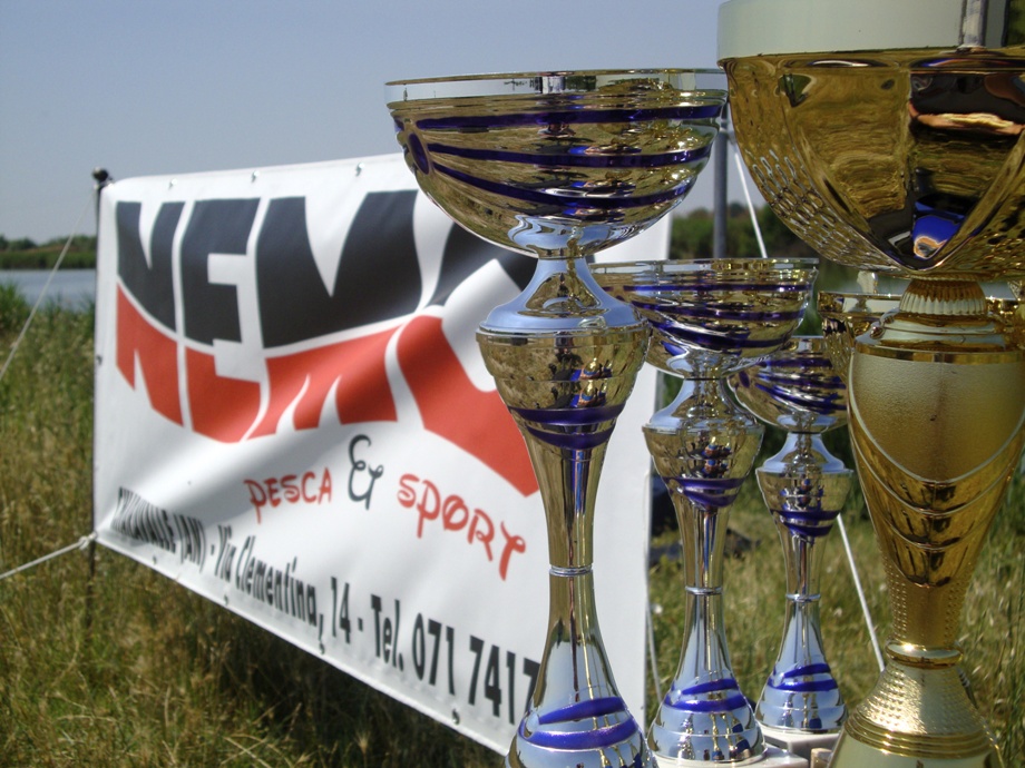 NEMO CUP 2013